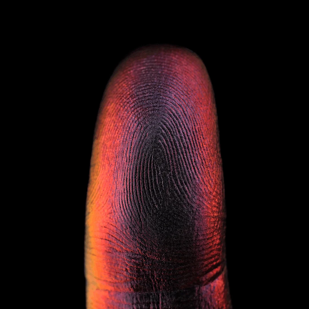 Dark Flame - Image 5